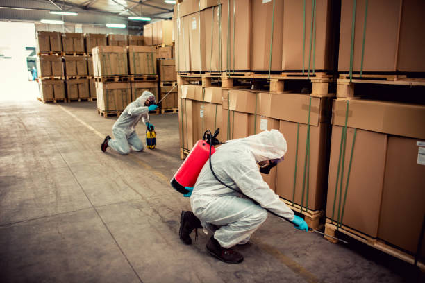 Best Pest Prevention Services  in Byers, CO