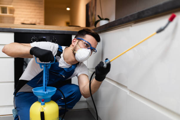 Best Pest Removal Services  in Byers, CO