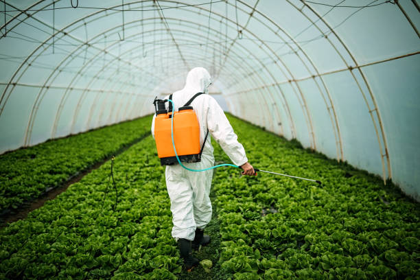 Best Affordable Exterminators  in Byers, CO