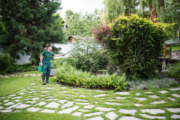 Best Commercial Pest Control Services  in Byers, CO