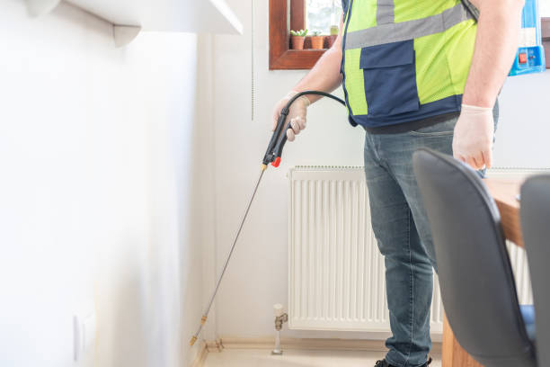 Best Rat Extermination Near Me  in Byers, CO