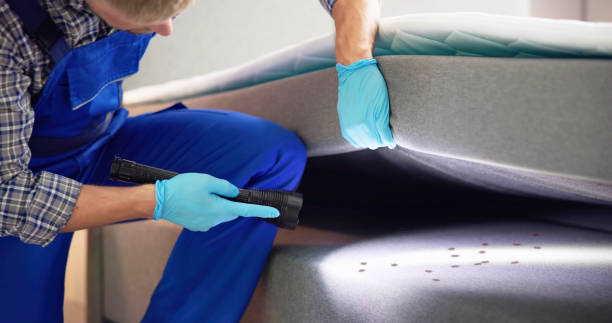 Best Local Pest Control Services  in Byers, CO