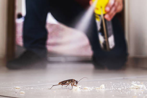 Best Rodent Control Near Me  in Byers, CO