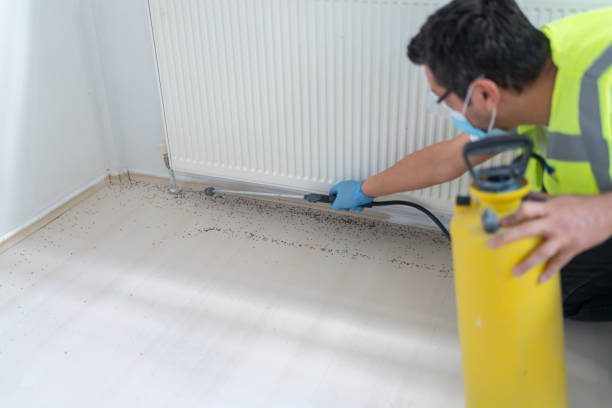 Trusted Byers, CO Pest Control Experts