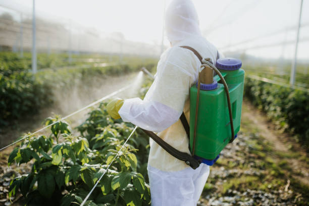 Best Ant Control Services  in Byers, CO